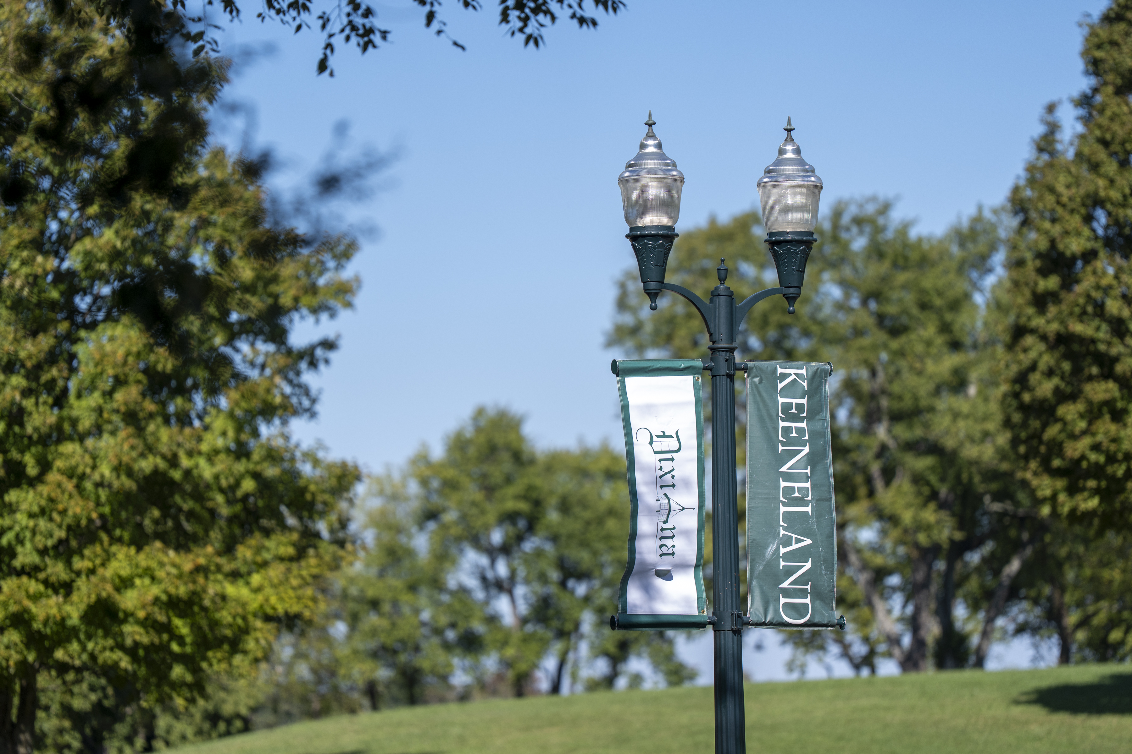 Dixiana at Keeneland, Saturday Oct. 11, 2025  in Georgetown, Ky. Photo by Mark Mahan Mahan Multimedia