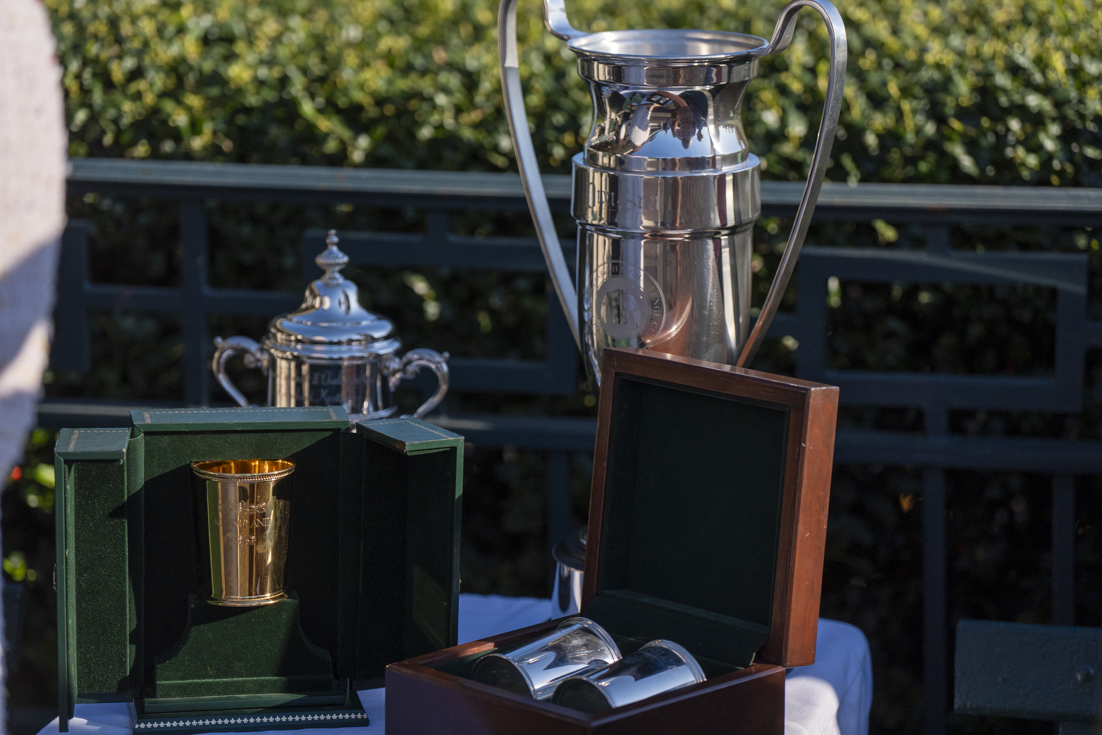 Dixiana at Keeneland, Saturday Oct. 11, 2025  in Georgetown, Ky. Photo by Mark Mahan Mahan Multimedia