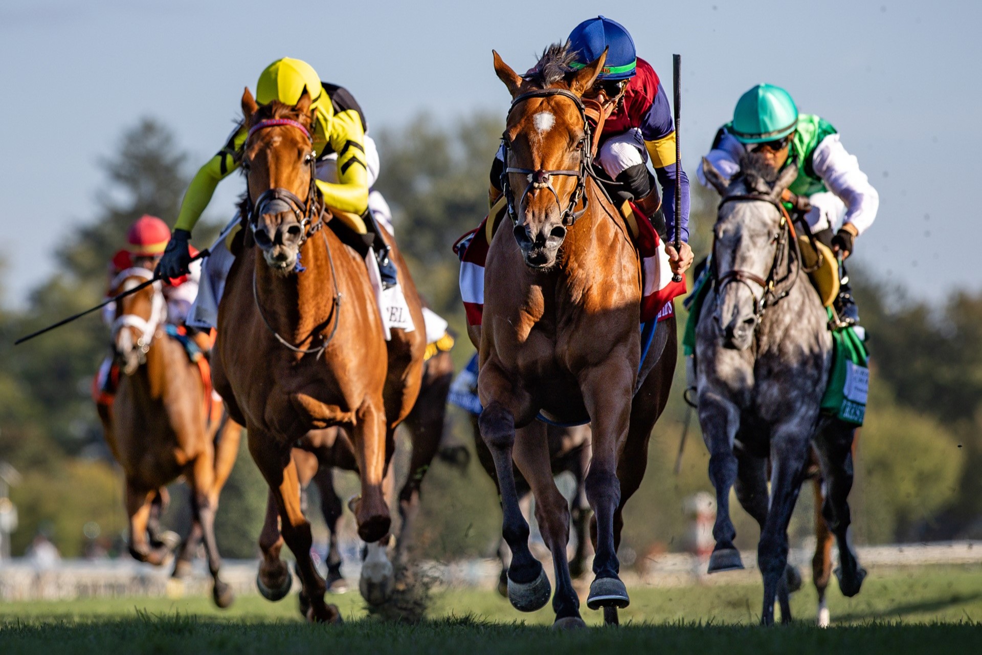 THE QUEEN ELIZABETH II (G1)

Lush Lips (GB)
TB, B, F, foaled January 28, 2022
( Ten Sovereigns (IRE) - Lamyaa (GB), by Arcano (IRE) )

Connections as of Current Entry:
Jockey: Tyler Gaffalione
Trainer: Brendan P. Walsh
Owner: Medallion Racing, Parkland Thoroughbreds, Hoffman Thoroughbreds, LLC, Shanahan, Mrs. Paul and Magnier, Mrs. M. V.
Breeder: The Pocock Family
