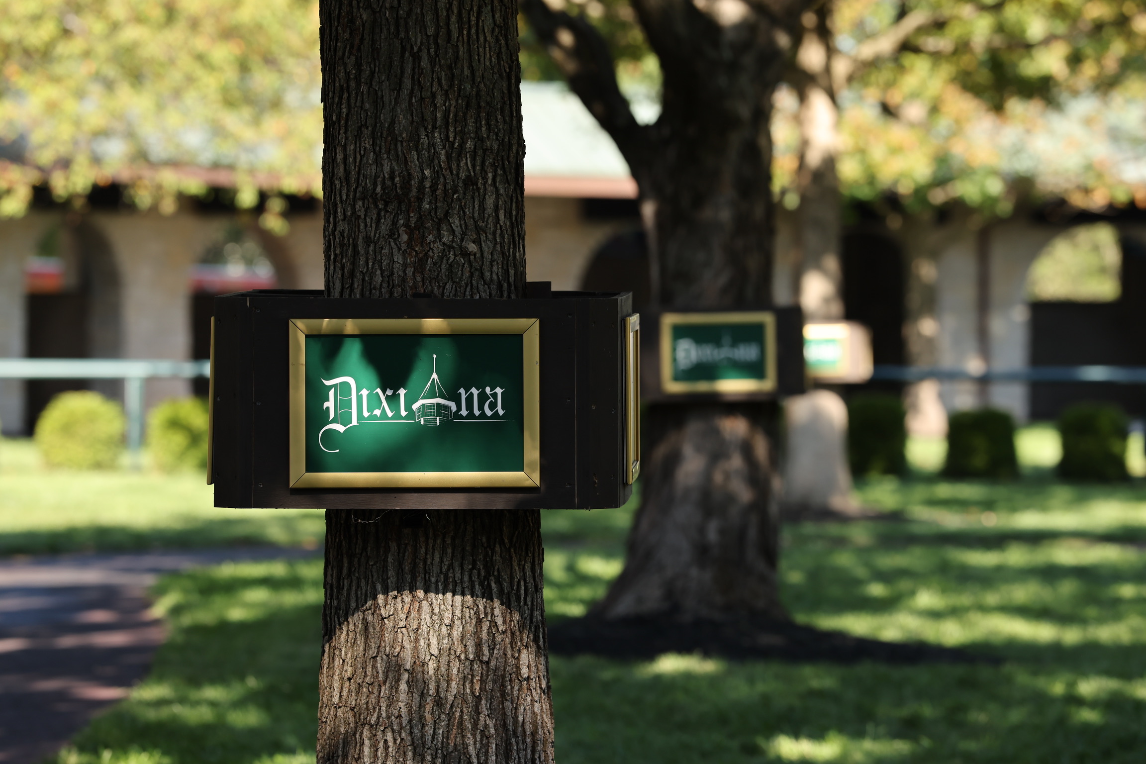 AF8DE90A-5D7F-4CA5-8638-9FB8C5224E70