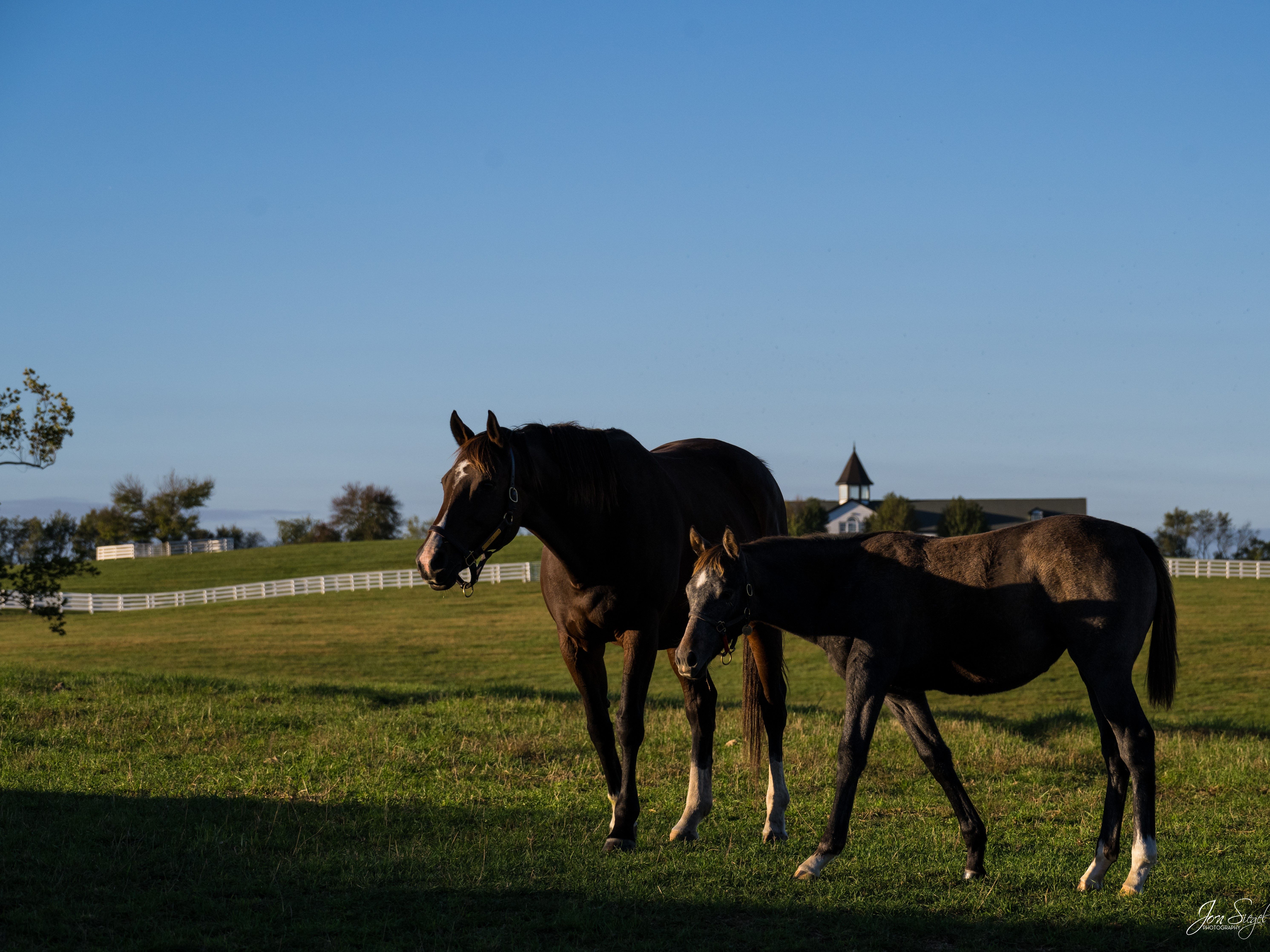 Dixiana-October2025-2