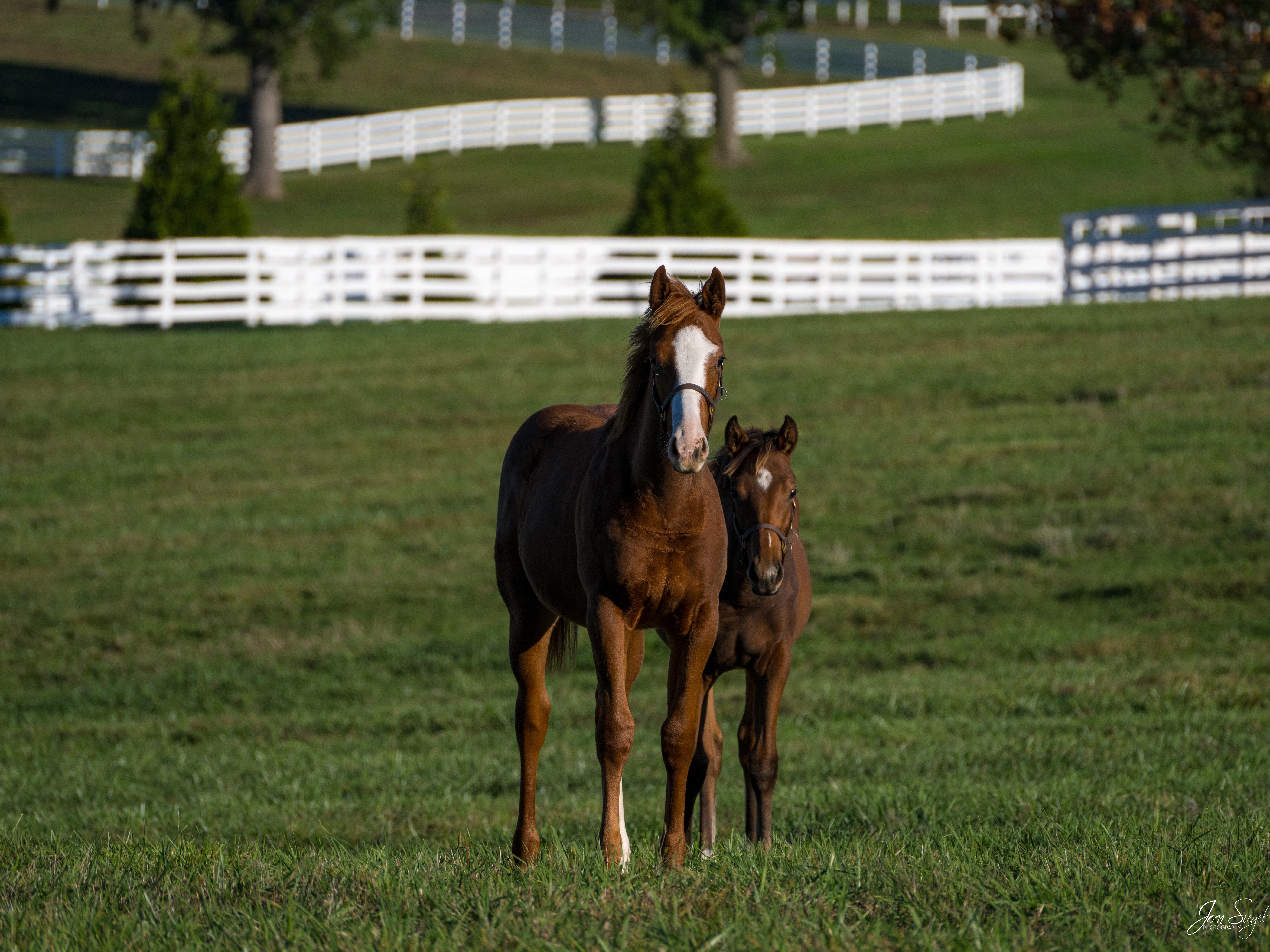 Dixiana-October2025-6